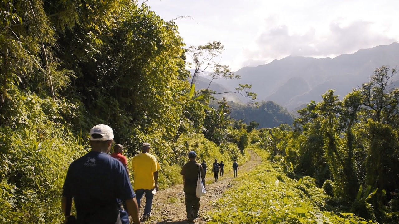 Fairtrade | Coffee Training Papua New Guinea