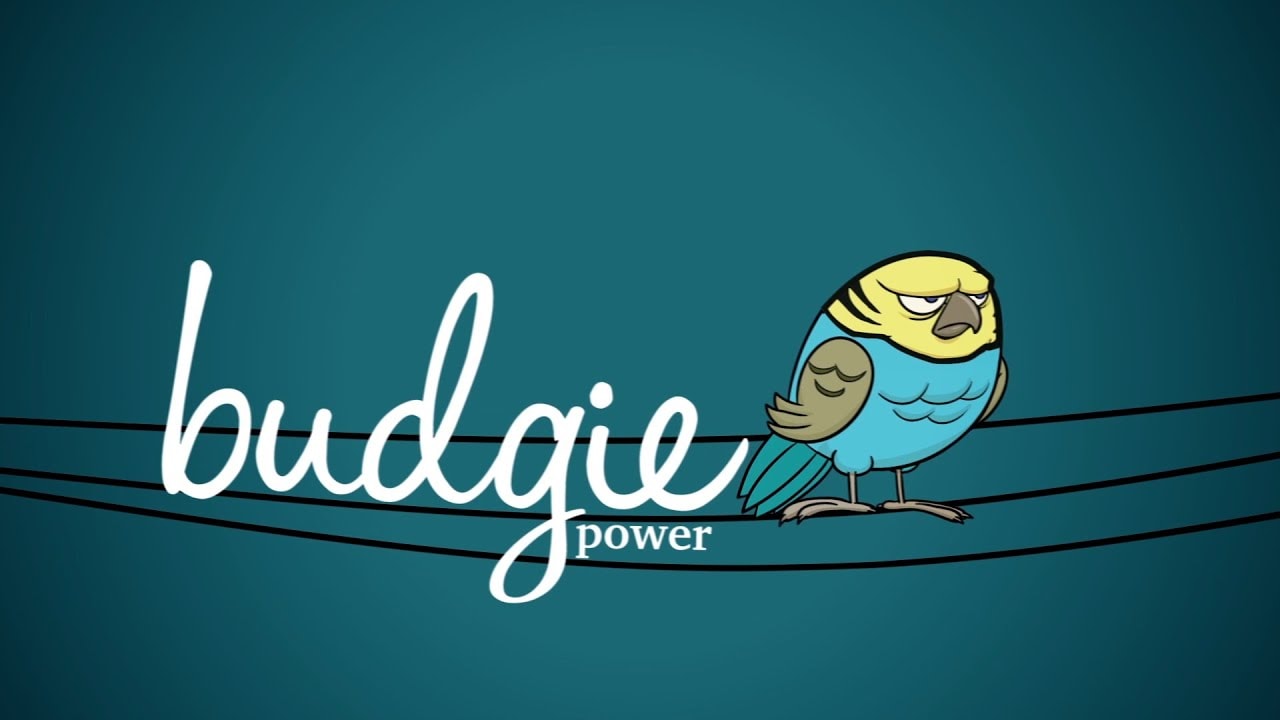 Budgie Power